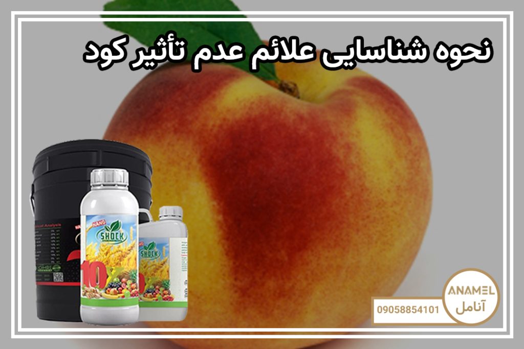 تأثیرات استفاده از کود 10 ایکس شوک در نسل‌های بعدی گیاهان