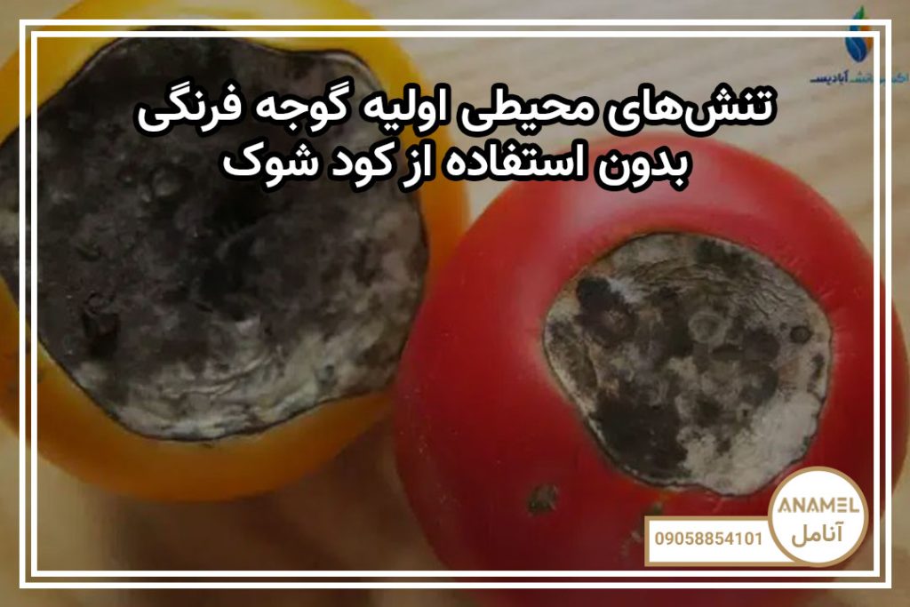 تنش‌های محیطی اولیه گوجه فرنگی بدون استفاده از کود شوک