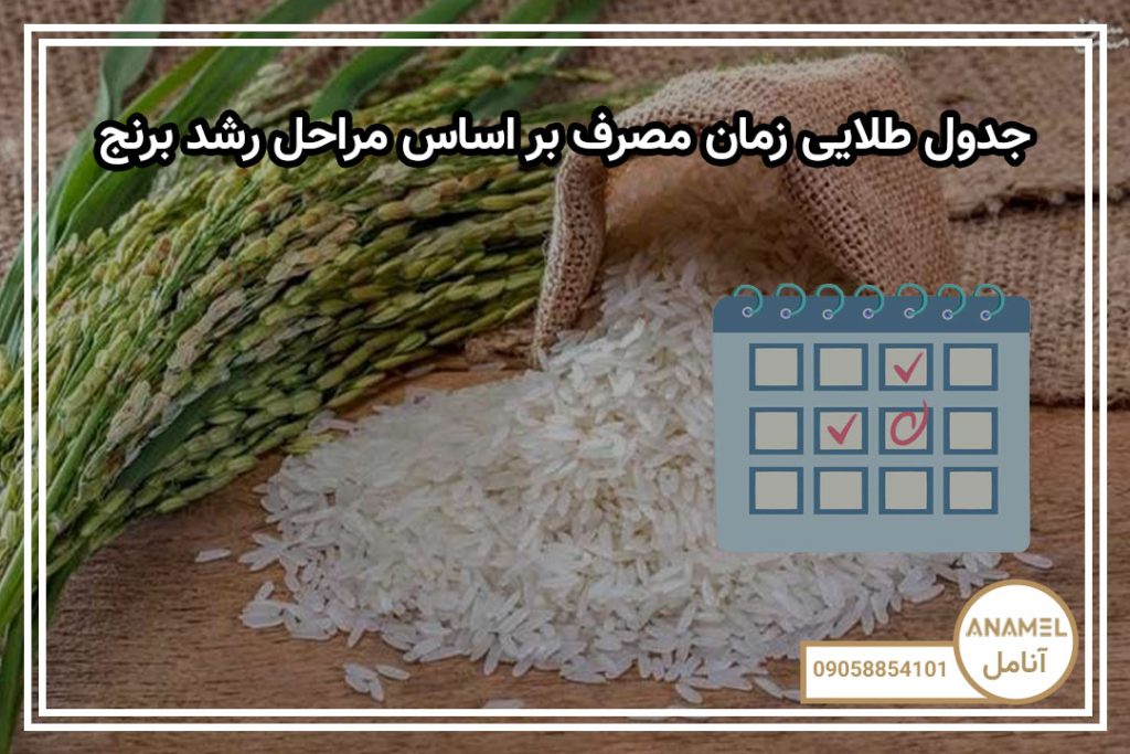 جدول طلایی زمان مصرف بر اساس مراحل رشد برنج