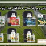 جمع‌بندی و برنامه عملی ۳ مرحله‌ای کود برنج شوک