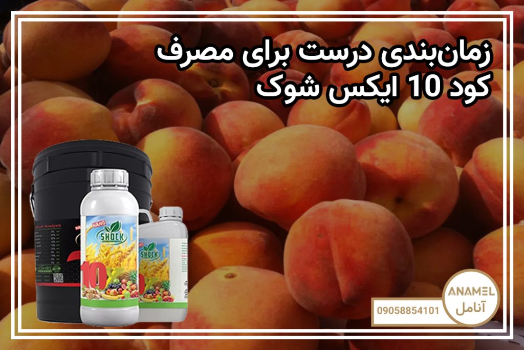 زمان‌بندی درست برای مصرف کود 10 ایکس شوک
