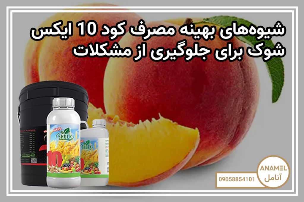 شیوه‌های بهینه مصرف کود 10 ایکس شوک برای جلوگیری از مشکلات