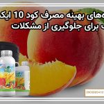 شیوه‌های بهینه مصرف کود 10 ایکس شوک برای جلوگیری از مشکلات