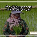 نحوه صحیح مصرف گام به گام (برای شالی‌کاران پرمشغله)
