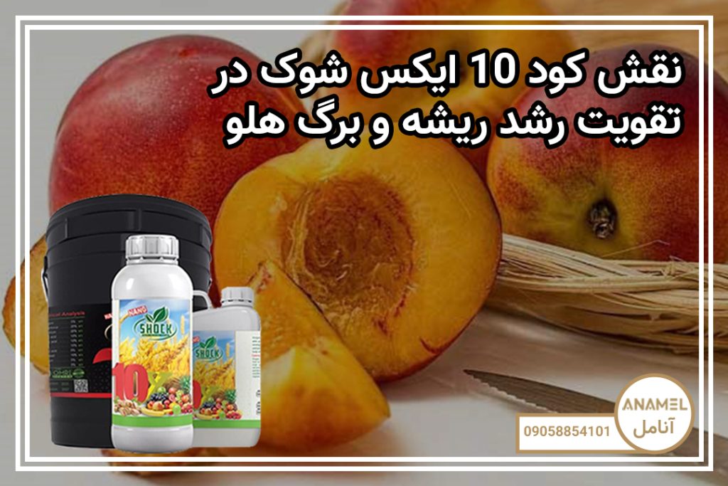 نقش کود 10 ایکس شوک در تقویت رشد ریشه و برگ هلو