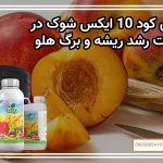 نقش کود 10 ایکس شوک در تقویت رشد ریشه و برگ هلو
