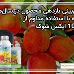 پیش‌بینی بازدهی محصول در سال‌های آینده با استفاده مداوم از کود 10 ایکس شوک