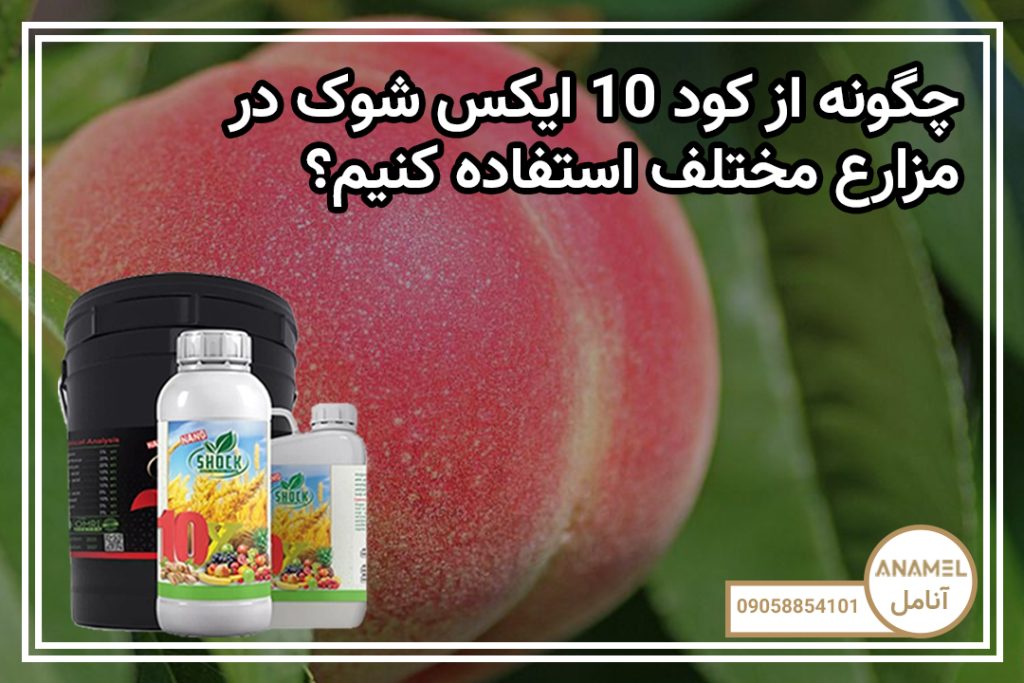 چگونه از کود 10 ایکس شوک در مزارع مختلف استفاده کنیم؟