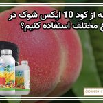 چگونه از کود 10 ایکس شوک در مزارع مختلف استفاده کنیم؟