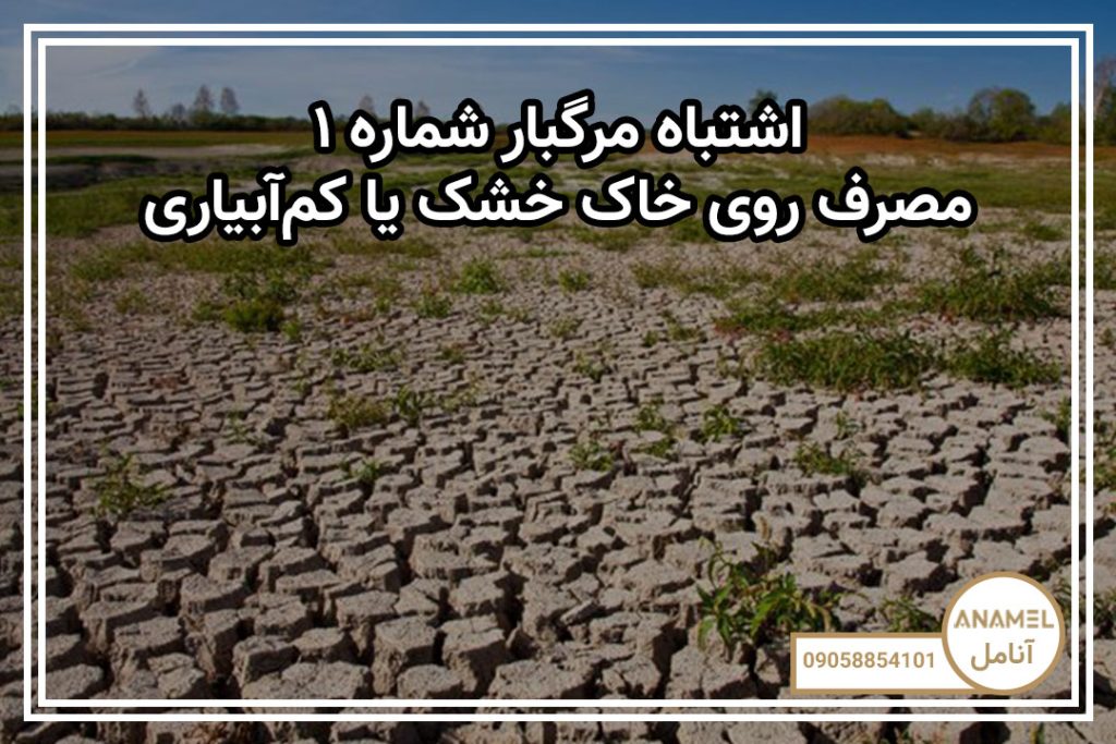 اشتباه مرگبار شماره ۱: مصرف روی خاک خشک یا کم‌آبیاری