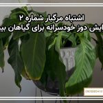 اشتباه مرگبار شماره ۲: افزایش دوز خودسرانه برای گیاهان بیمار