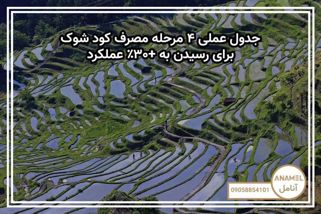 جدول عملی ۴ مرحله مصرف کود شوک برای رسیدن به +۳۰٪ عملکرد