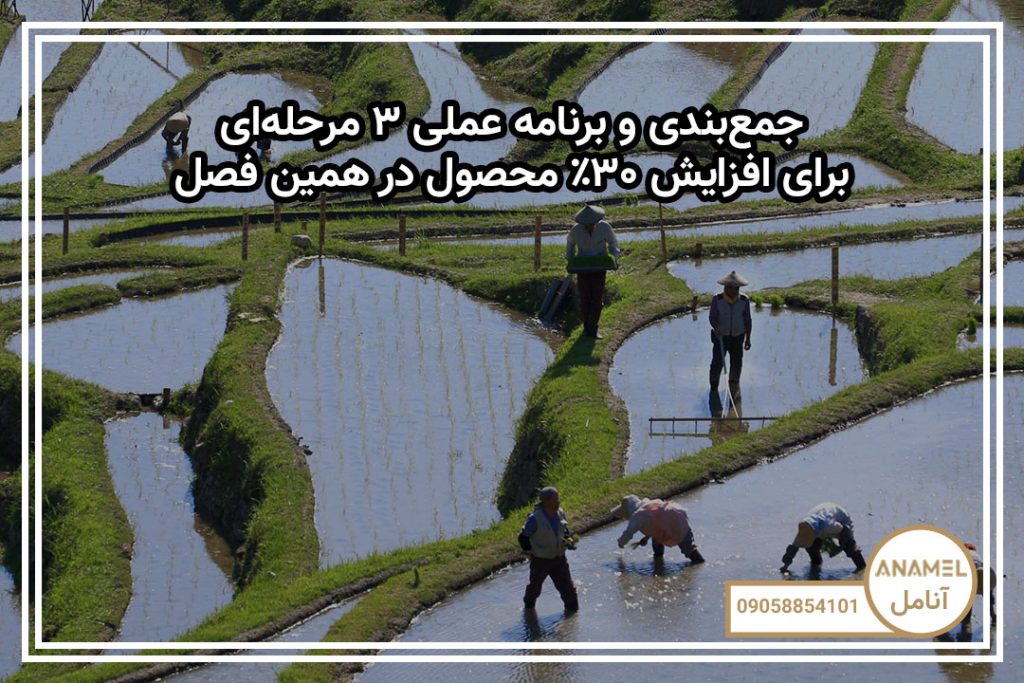 جمع‌بندی و برنامه عملی ۳ مرحله‌ای برای افزایش ۳۰٪ محصول در همین فصل