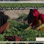 خلاصه یک‌صفحه‌ای برای چاپ و نصب در باغ