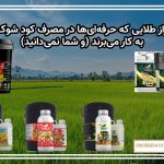 راز طلایی که حرفه‌ای‌ها در مصرف کود شوک به کار می‌برند (و شما نمی‌دانید)
