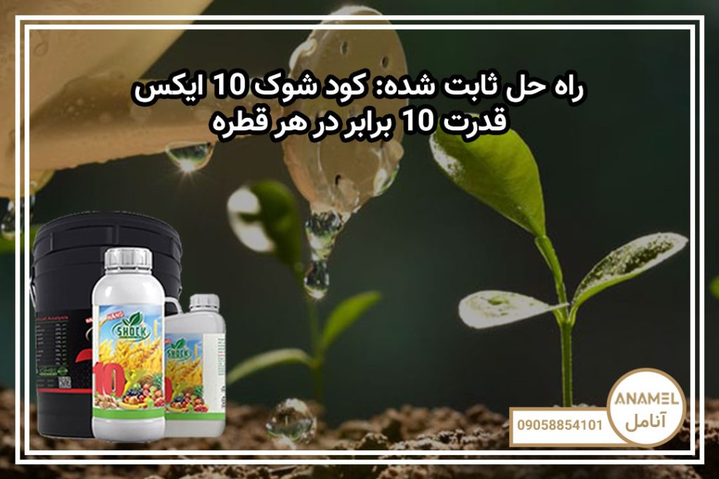 راه حل ثابت شده: کود شوک 10X – قدرت 10 برابر در هر قطره
