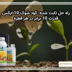 راه حل ثابت شده: کود شوک 10X – قدرت 10 برابر در هر قطره