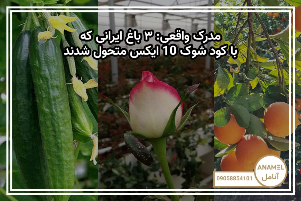مدرک واقعی: ۳ باغ ایرانی که با شوک 10X متحول شدند