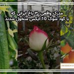 مدرک واقعی: ۳ باغ ایرانی که با شوک 10X متحول شدند