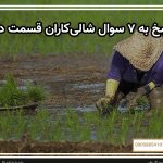 پاسخ به ۷ سوال فوری شالی‌کاران قسمت دوم