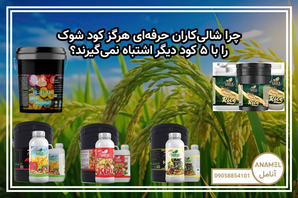 چرا شالی‌کاران حرفه‌ای هرگز کود شوک را با ۵ کود دیگر اشتباه نمی‌گیرند؟