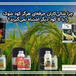 چرا شالی‌کاران حرفه‌ای هرگز کود شوک را با ۵ کود دیگر اشتباه نمی‌گیرند؟