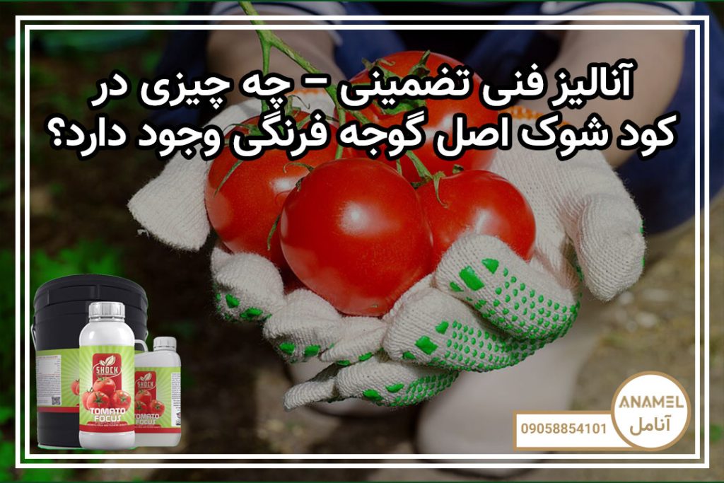 آنالیز فنی تضمینی – چه چیزی در کود شوک اصل گوجه فرنگی وجود دارد؟