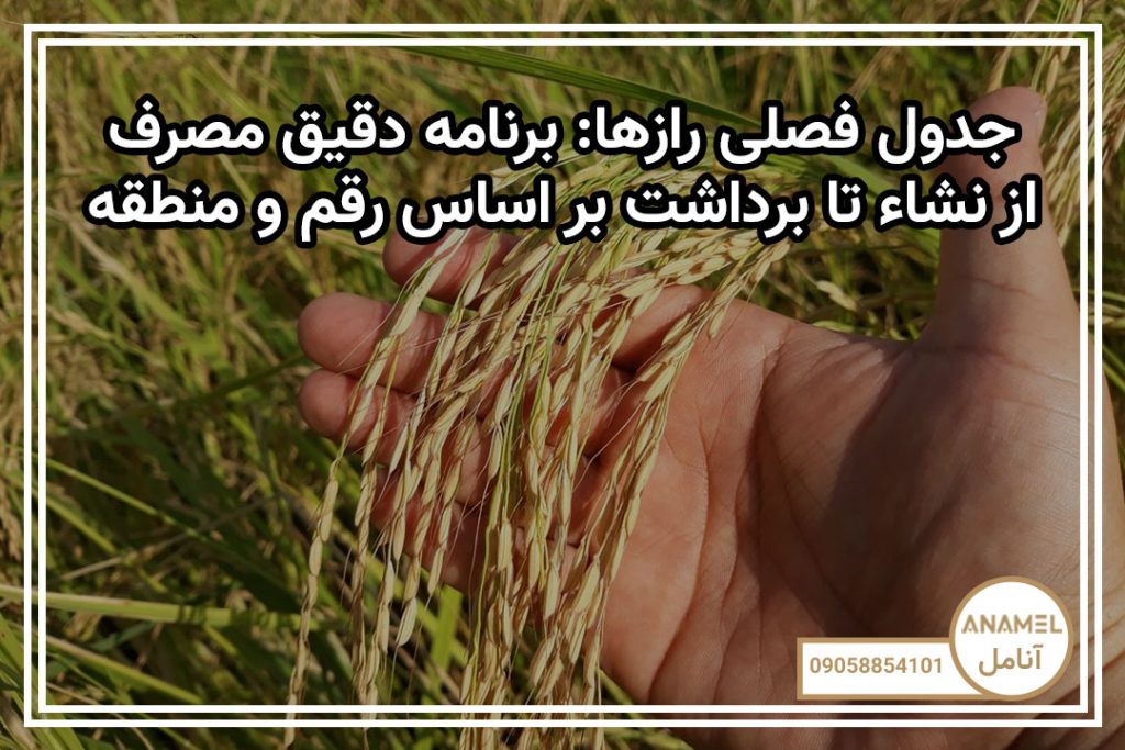 جدول فصلی رازها: برنامه دقیق مصرف از نشاء تا برداشت بر اساس رقم و منطقه