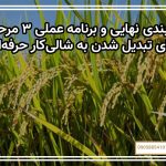 جمع‌بندی نهایی و برنامه عملی ۳ مرحله‌ای برای تبدیل شدن به شالی‌کار حرفه‌ای