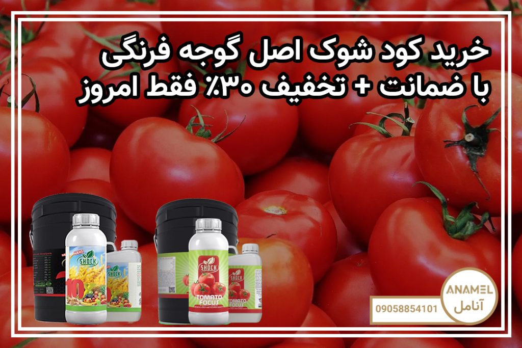 خرید کود شوک اصل گوجه فرنگی با ضمانت + تخفیف ۳۰٪ فقط امروز