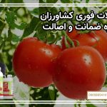 سوالات فوری کشاورزان درباره ضمانت و اصالت