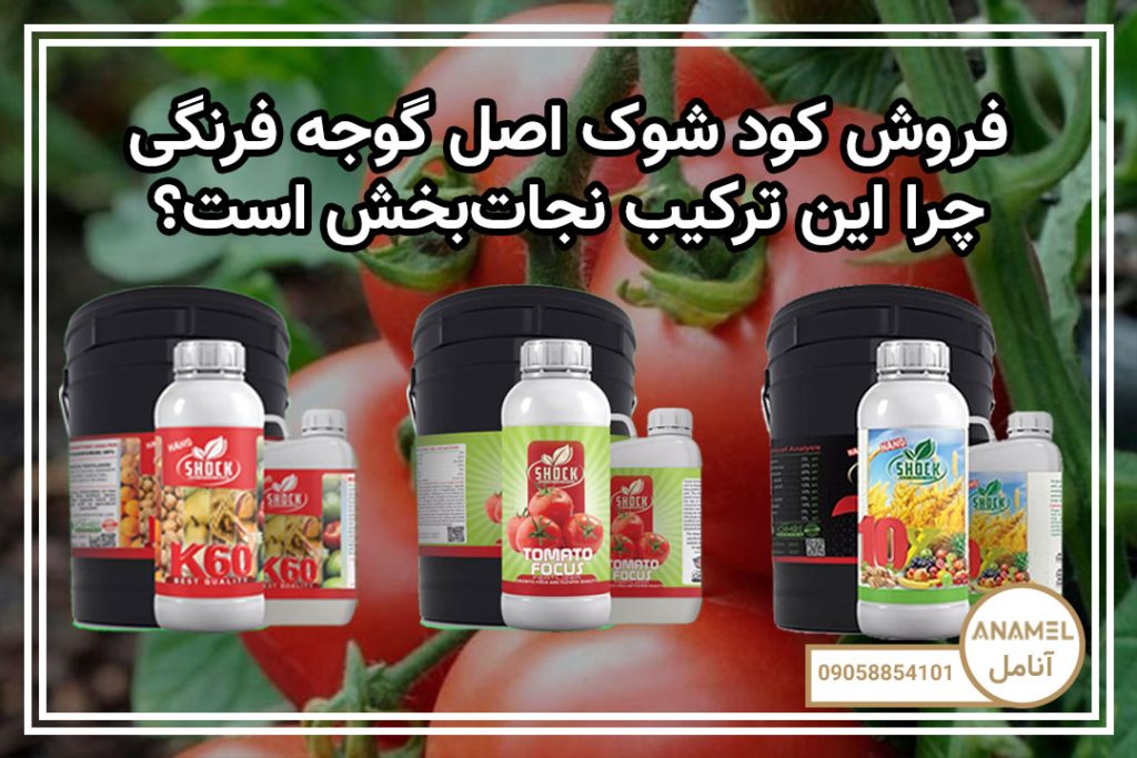 فروش کود شوک اصل گوجه فرنگی با ضمانت – چرا این ترکیب نجات‌بخش است؟