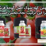 فروش کود شوک اصل گوجه فرنگی با ضمانت – چرا این ترکیب نجات‌بخش است؟
