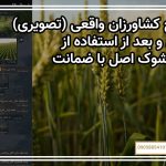 نتایج کشاورزان واقعی (تصویری) – قبل و بعد از استفاده از کود شوک اصل با ضمانت