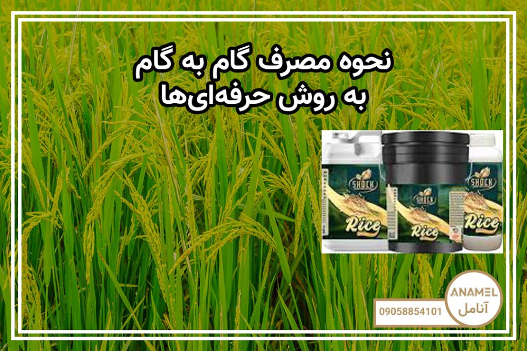 نحوه مصرف گام به گام به روش حرفه‌ای‌ها