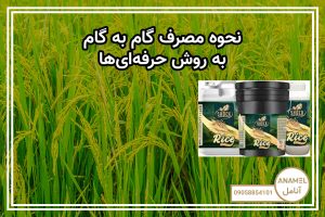 نحوه مصرف گام به گام به روش حرفه‌ای‌ها