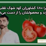 چرا ۸۰٪ کشاورزان کود شوک تقلبی می‌خرند و محصولشان را از دست می‌دهند؟