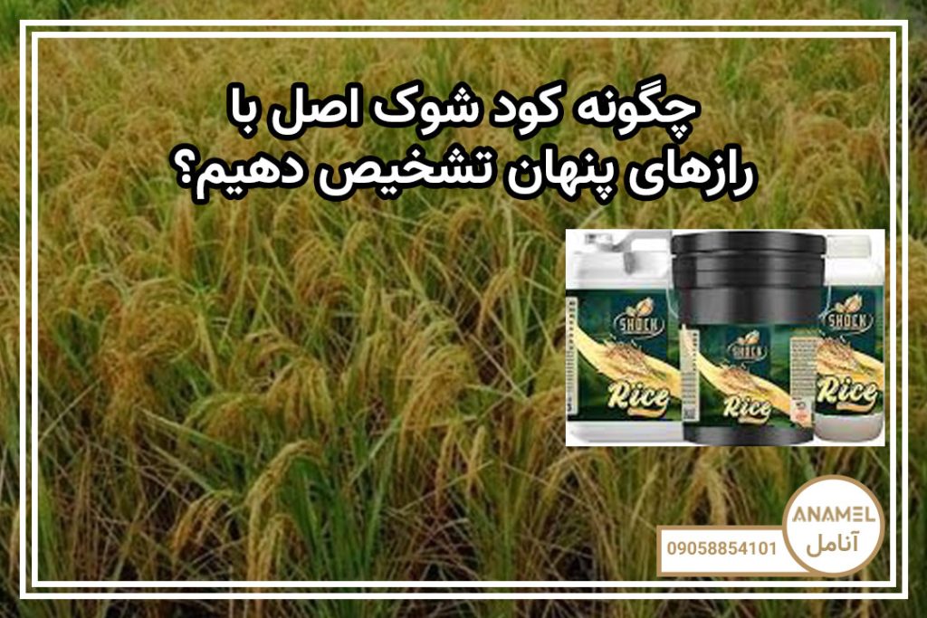 چگونه کود شوک اصل با رازهای پنهان تشخیص دهیم؟