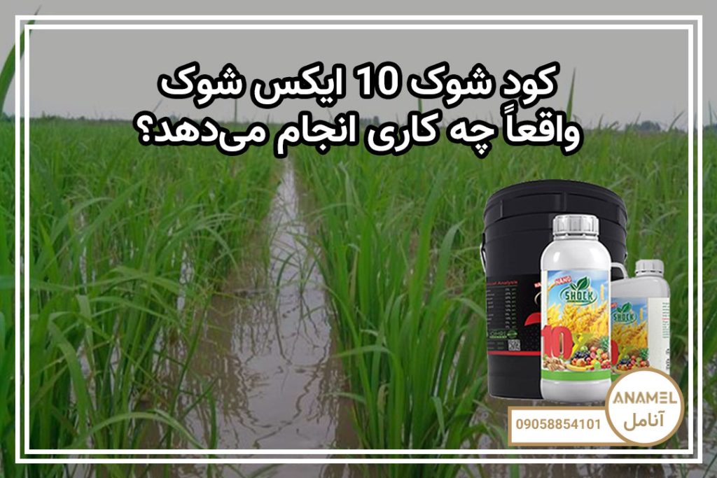 کود شوک 10X واقعاً چه کاری انجام می‌دهد؟