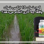 کود شوک 10X واقعاً چه کاری انجام می‌دهد؟