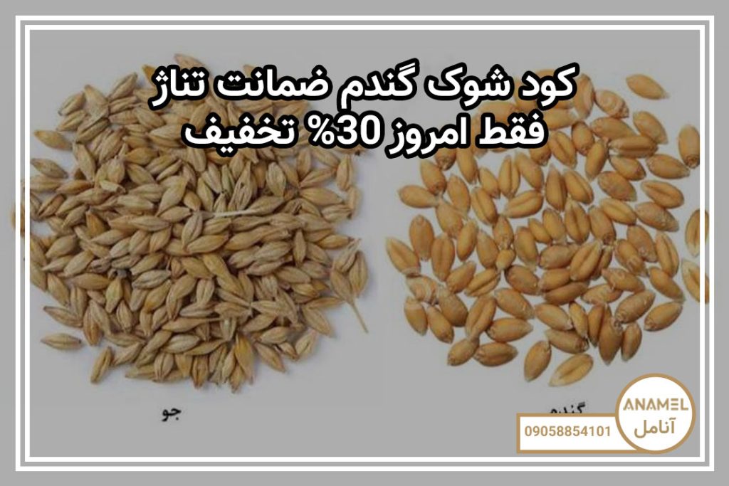 کود شوک گندم ضمانت تناژ: فقط امروز 30% تخفیف