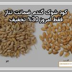 کود شوک گندم ضمانت تناژ: فقط امروز 30% تخفیف