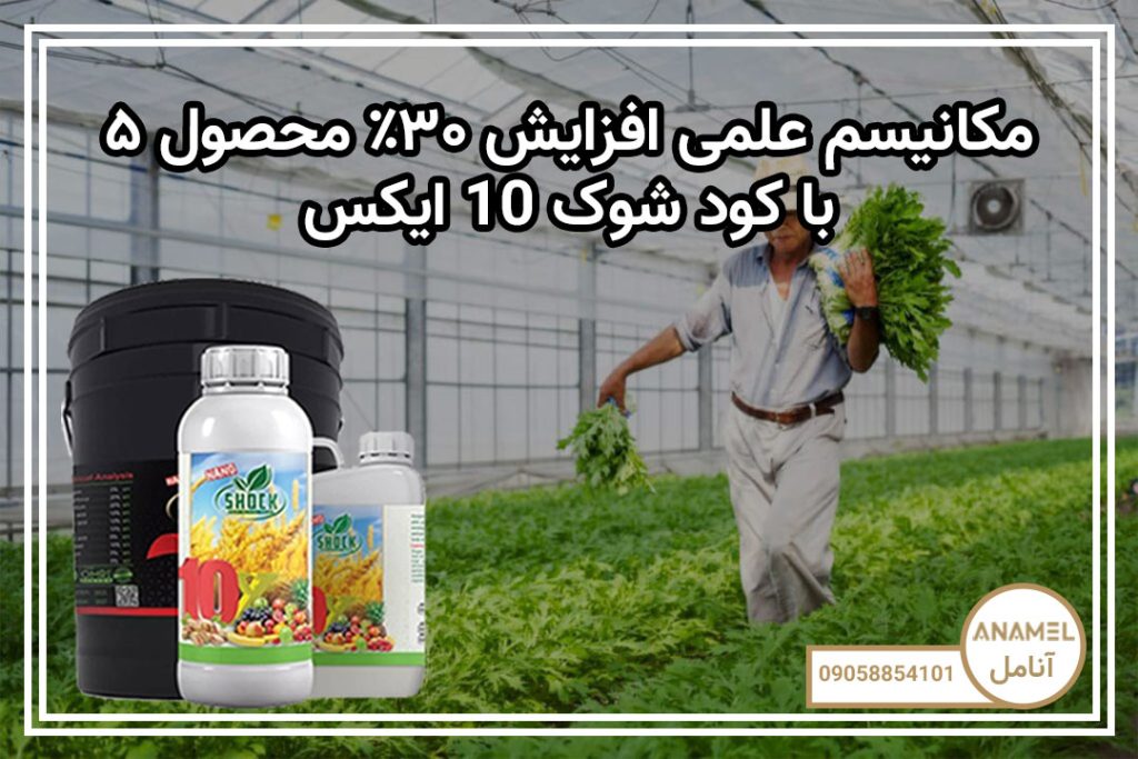 ۵ مکانیسم علمی افزایش ۳۰٪ محصول با کود شوک 10X