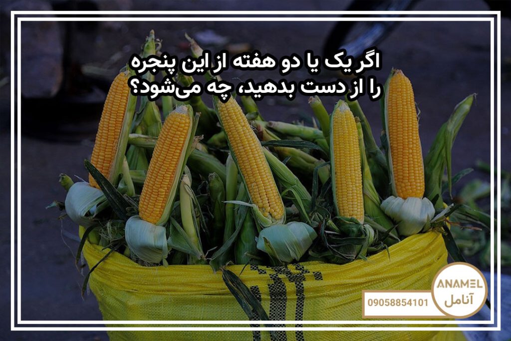 اگر یک یا دو هفته از این پنجره را از دست بدهید، چه می‌شود؟