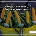 اگر یک یا دو هفته از این پنجره را از دست بدهید، چه می‌شود؟