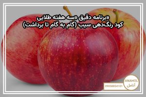 برنامه دقیق «سه هفته طلایی»