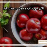 تأثیر شرایط آب و هوایی بر جذب کود