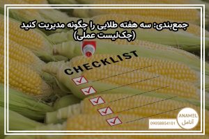 جمع‌بندی: سه هفته طلایی را چگونه مدیریت کنید (چک‌لیست عملی)