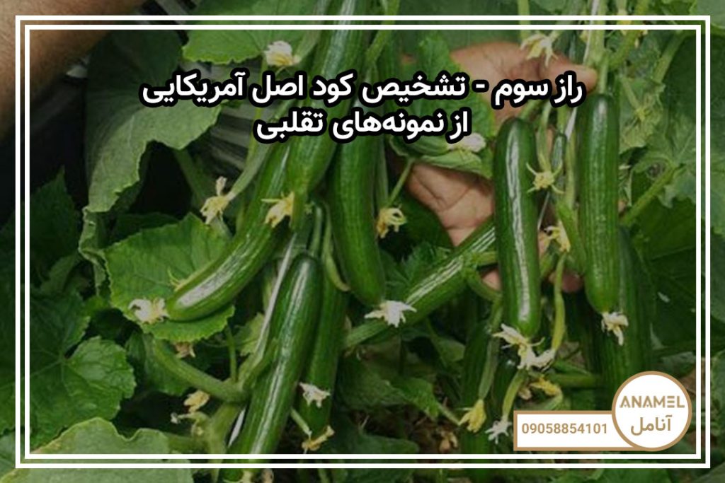راز سوم – تشخیص کود اصل آمریکایی از نمونه‌های تقلبی