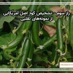راز سوم - تشخیص کود اصل آمریکایی از نمونه‌های تقلبی